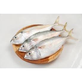 

Ikan Kembung kemasan 1kg Fresh/Frozen