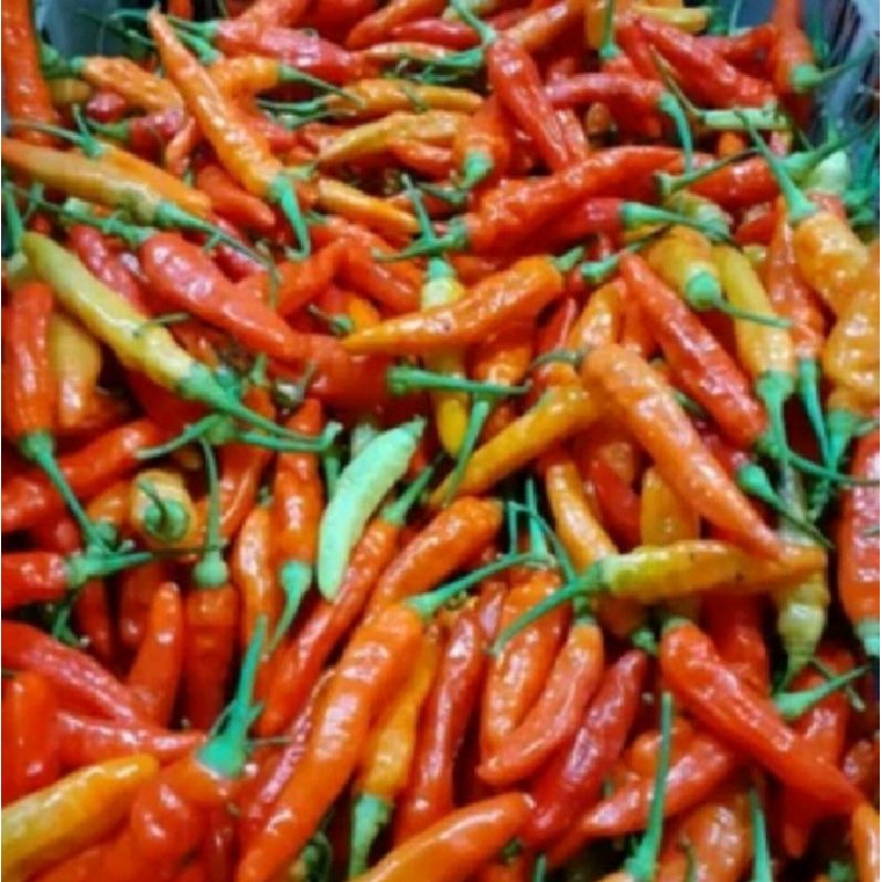 

cabe rawit caplak merah 1/2kg