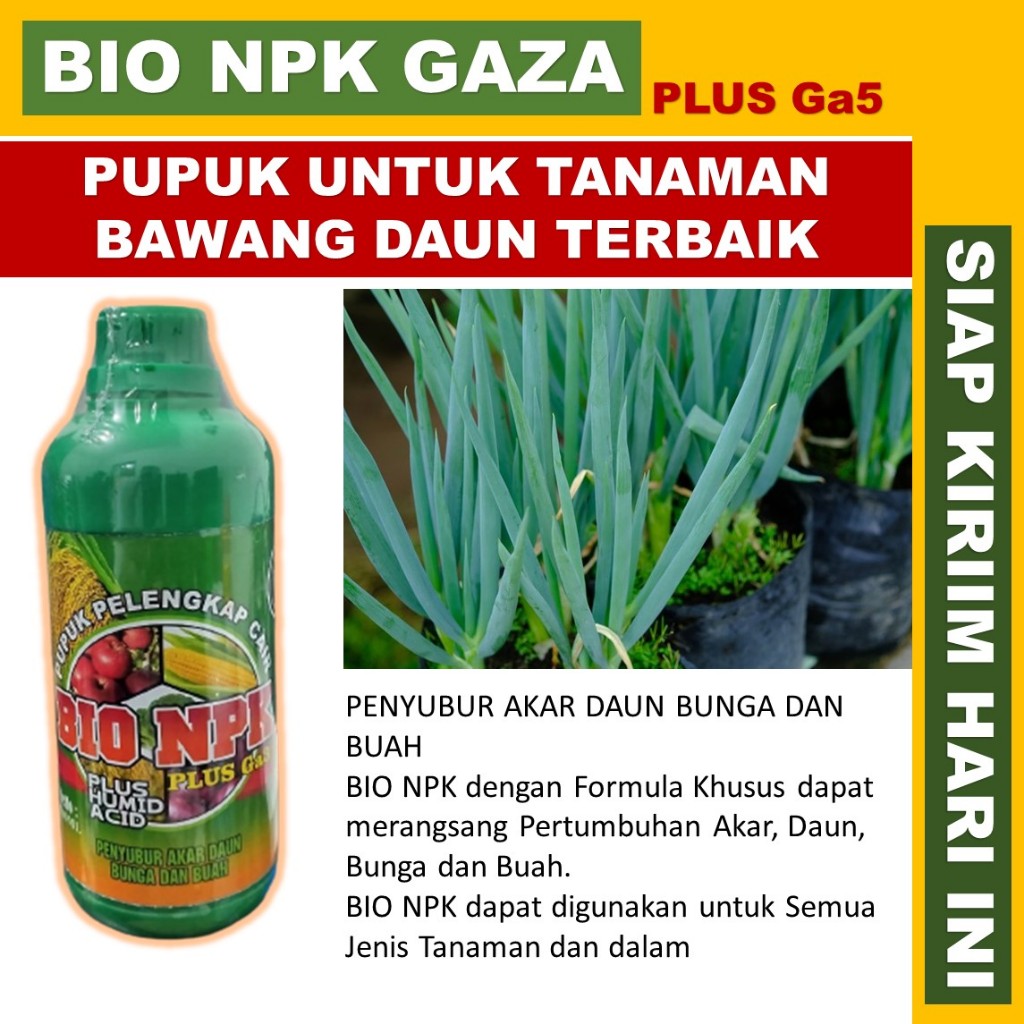 Pelebat Bawang Daun npk gaza 500 ml Terbaik Tahan di Musim Hujan - Pupuk NPK Cair Pelebat Bawang Dau