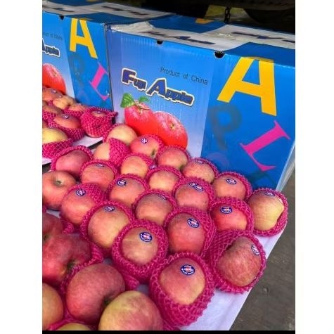 

Jual Apel Fuji Al size 88 Per 1 DUS karton