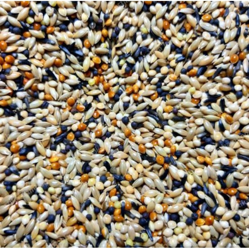 Kenari Seed Mix Pakan Kenari Campur Lengkap Niger jemawut milet kenari seed niger