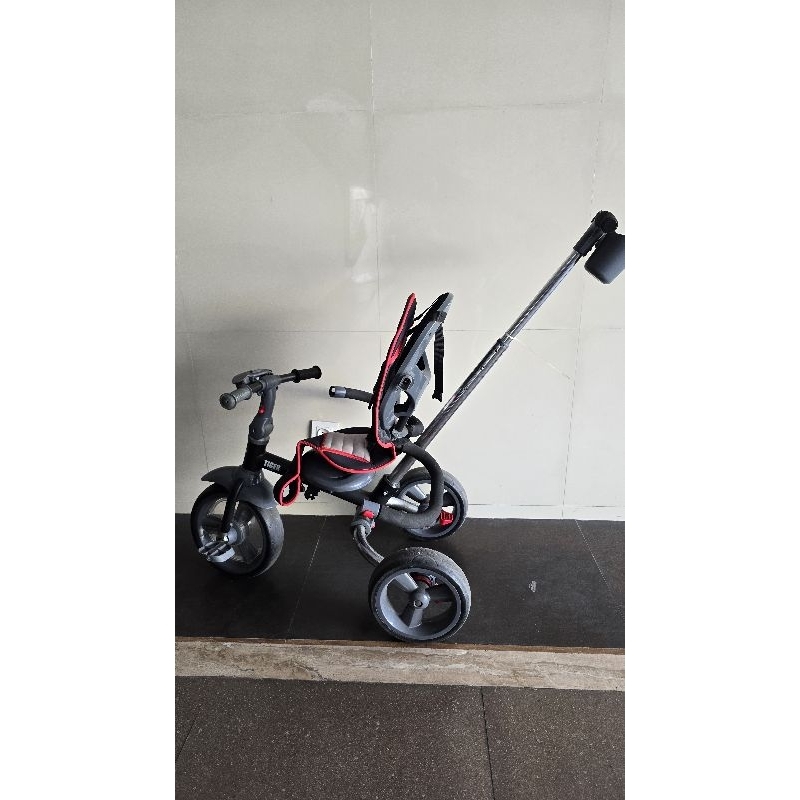sepeda anak family elite tiger