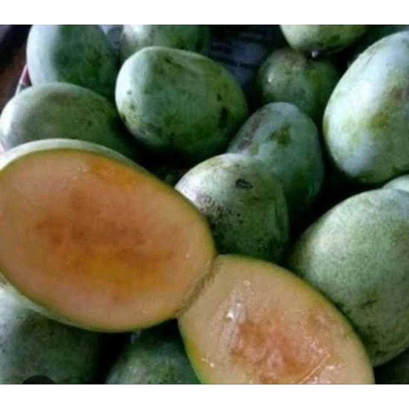

mangga manalagi/madu 1 kg