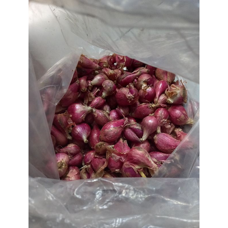 

Bawang brebes kualitas super