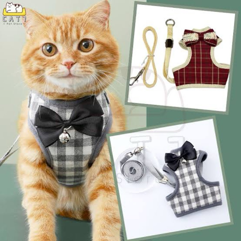Tali Kucing Tali Rompi Kucing