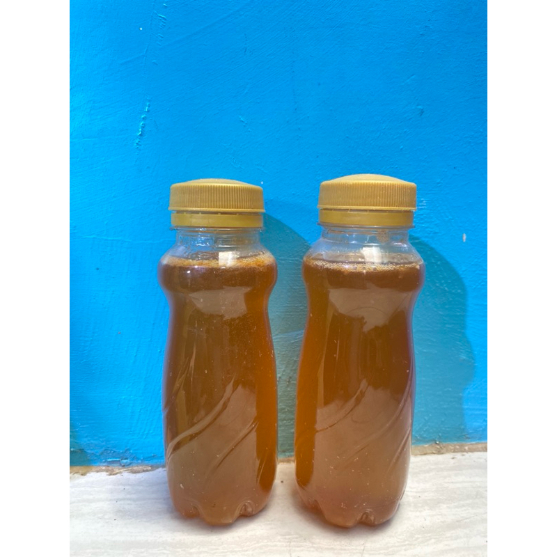 

MADU ASLI HUTAN KALIMANTAN 100% TANPA CAMPURAN
