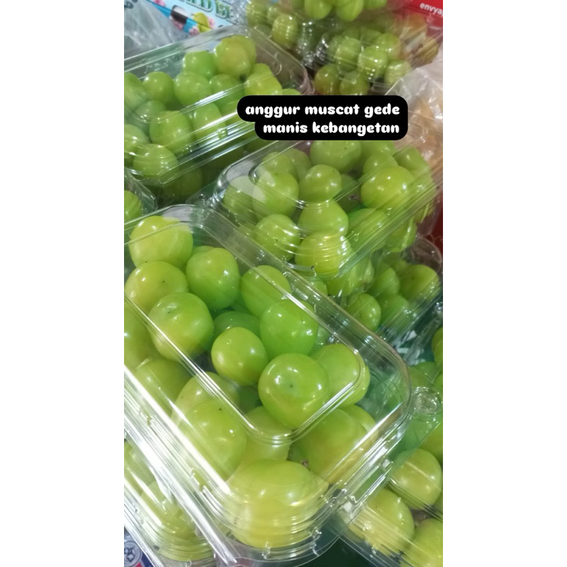 

Anggur Muscat Jepang fresh Hijau manis segar crunchy