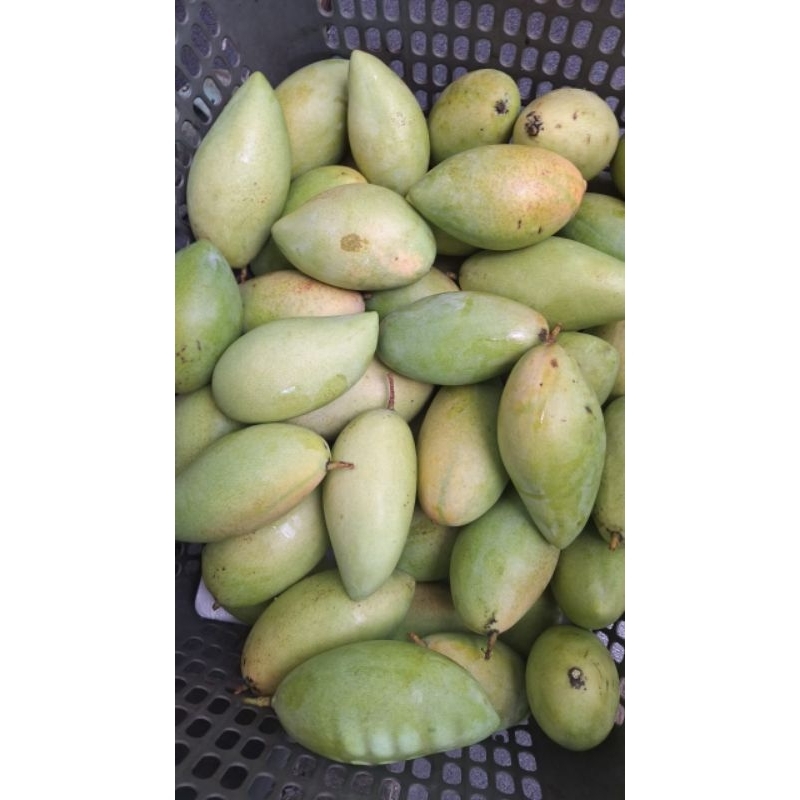 

mangga dokmay/namdokmay Thailand