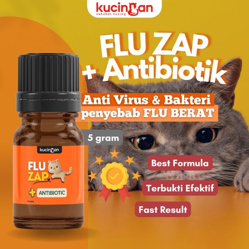 FLU ZAP Kucingan Obat Flu Antibiotik Flu Berat Menahun Batuk Pilek Guard