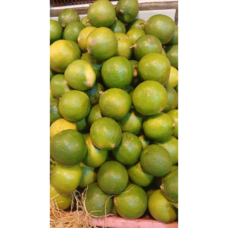 

jeruk nipis fersh super 500grm