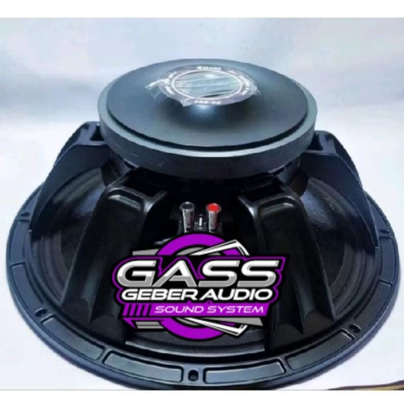 Speaker 15 inch ZQ PRO 15Z30