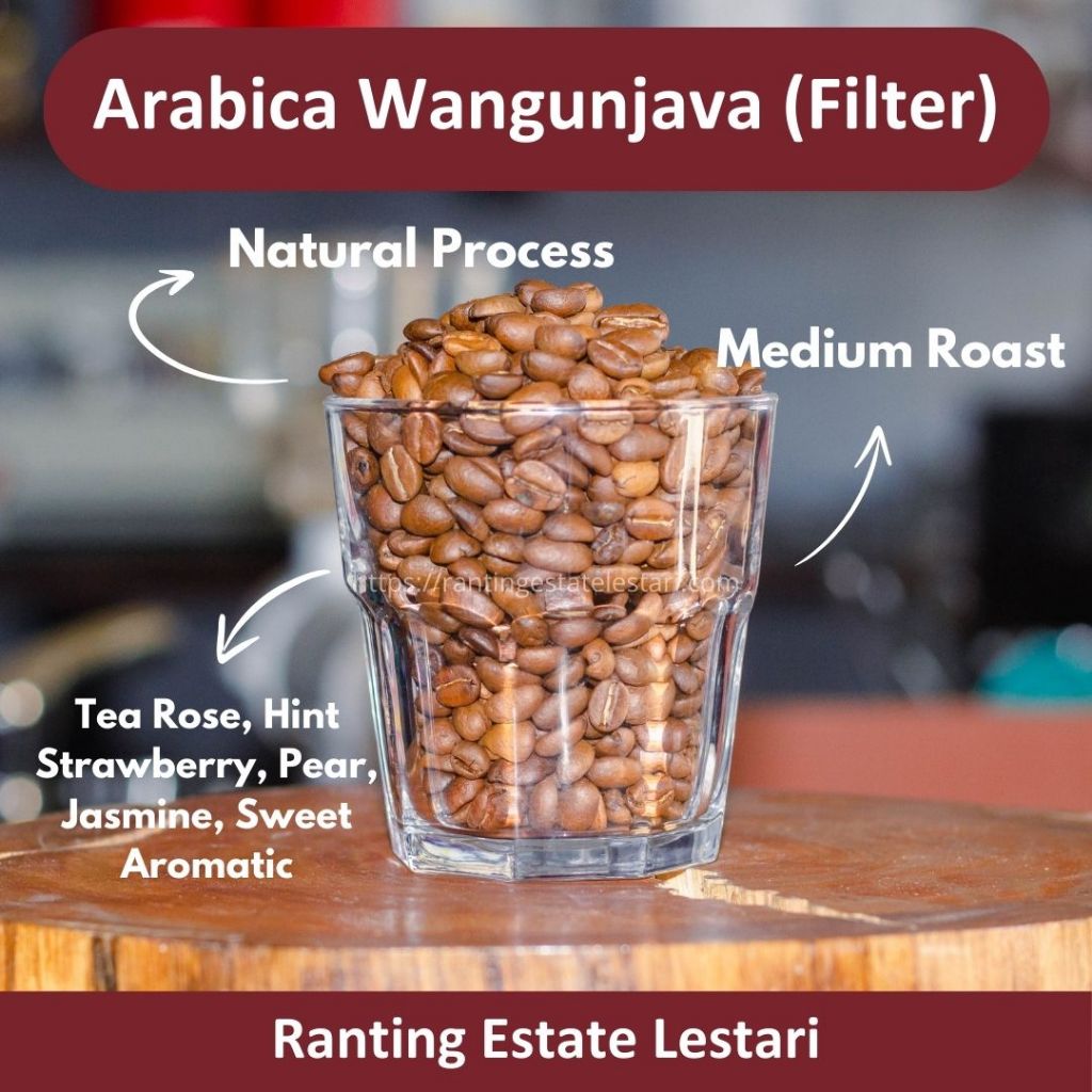 

KOPI ARABIKA FILTER (Natural, Medium)