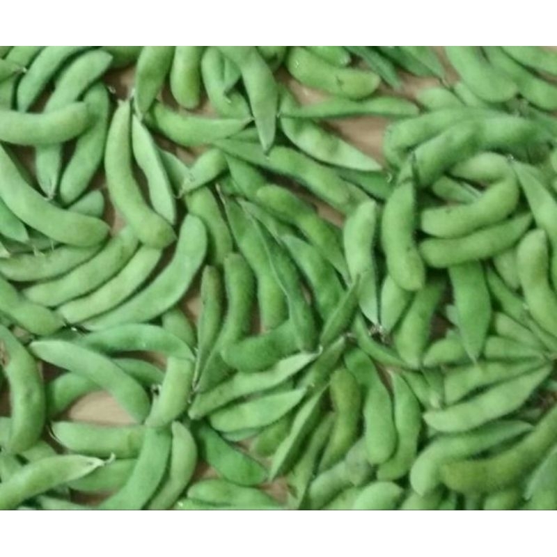 

Edamame super langsung petani 1kg