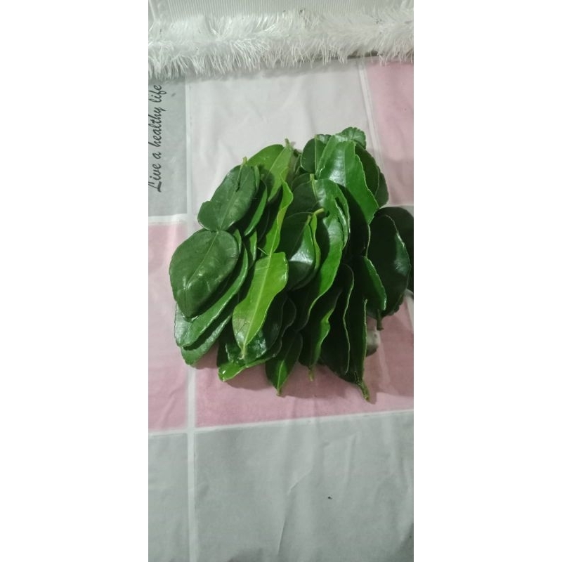 

Daun jeruk segar 50gram