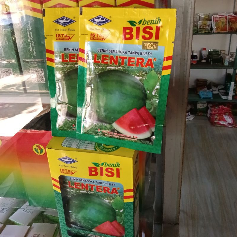 Benih Bibit Semangka Non Biji Lentera F1 (Perawatan Mudah) Isi 20 Gram Kadaluarsa 2026 Terbaru Panja