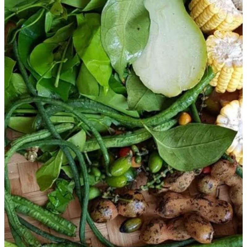 

Paket Sayur Asem Fresh 1 Bungkus 500 gram Khusus Instan & Sameday