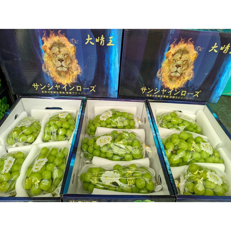 

Shine Muscat Premium Giftbox