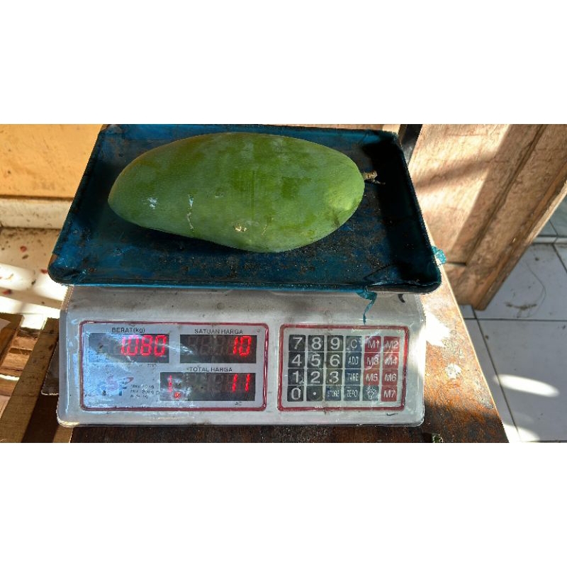 

mangga Kiojay