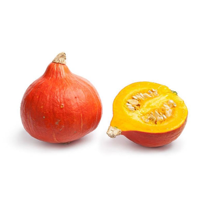 

Biji Labu Chestnut
