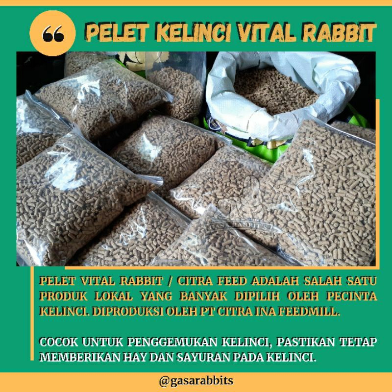 PELET VITAL RABBIT 1 KG - PELET KELINCI VITAL RABBIT - PELET KELINCI 1 KG - MAKANAN KELINCI 1 KG - P