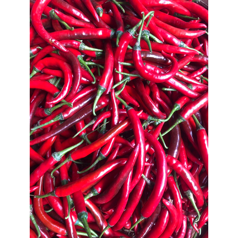 

Cabe / Cabai Merah Besar TW SUPER 1 Kg 500 gr