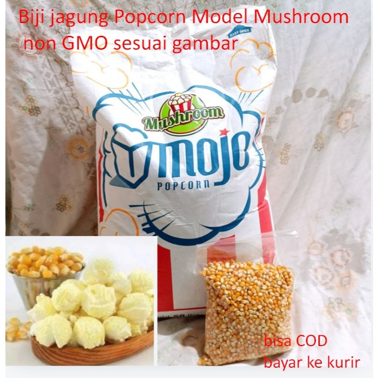 

Biji jagung Popcorn Model Mushroom non GMO sesuai gambar