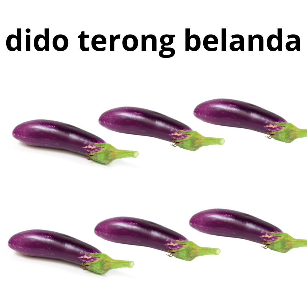 

Terong belanda 500gr