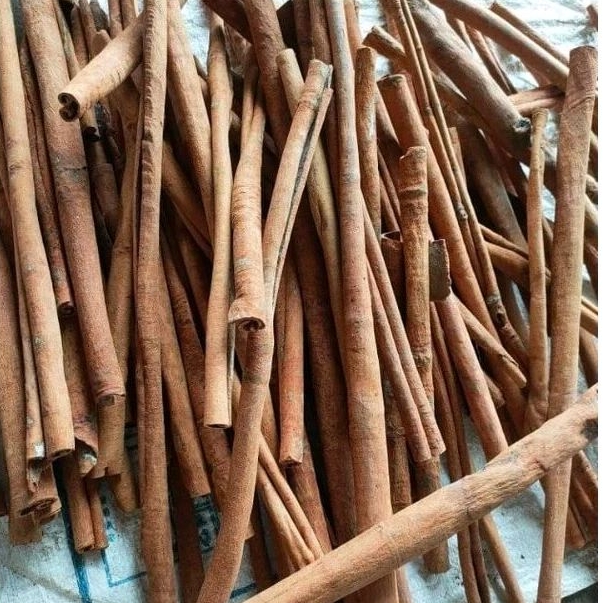 

KAYU Manis Original 100 ASLI