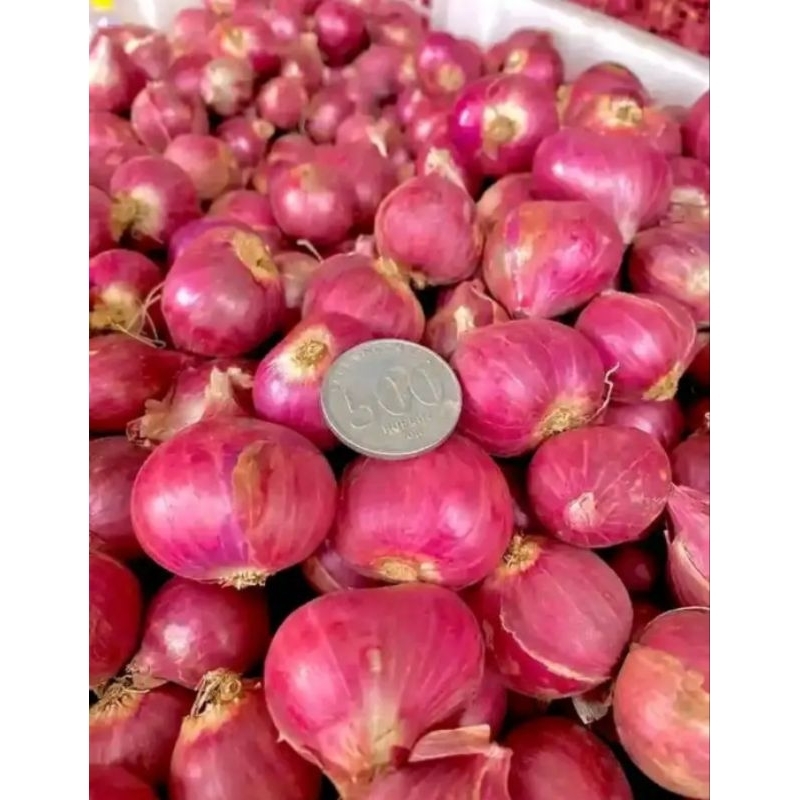 

2kg BAMER BIMA SUPERR