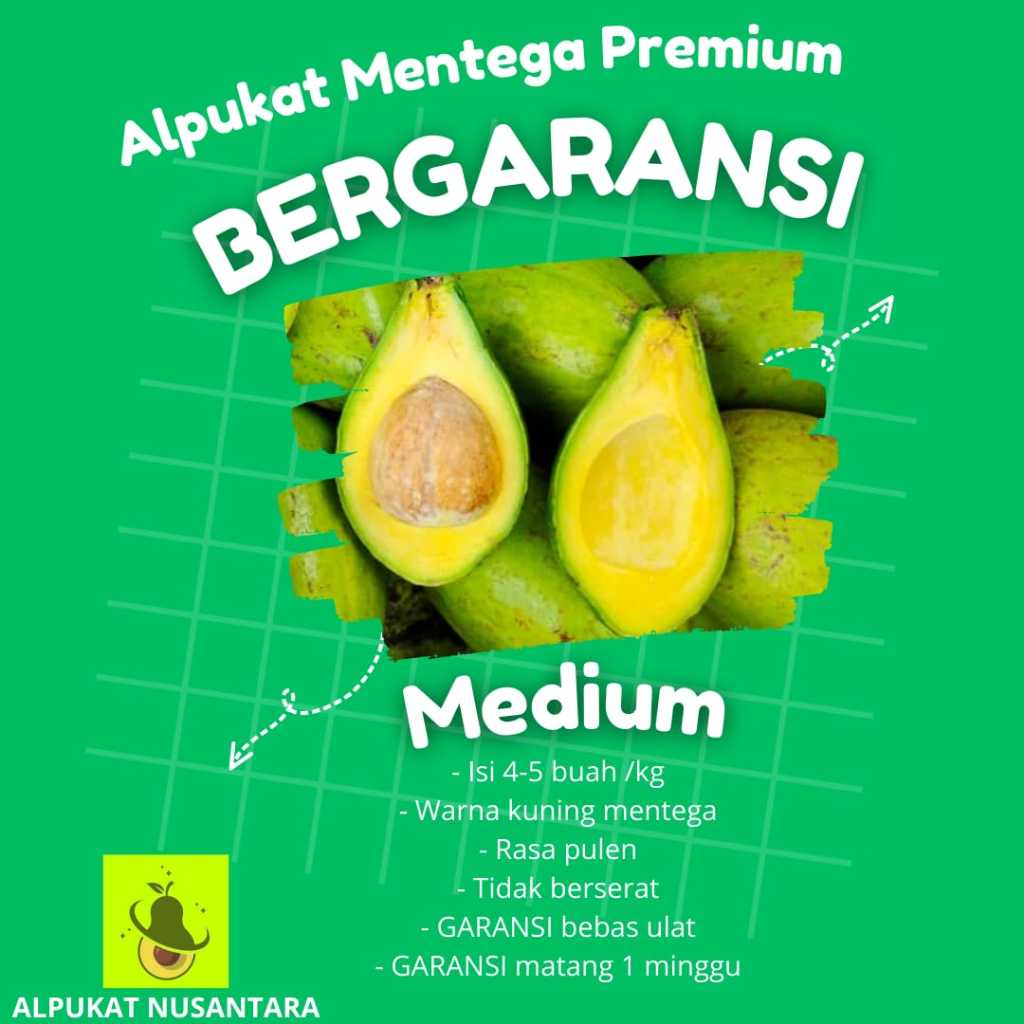 

Alpukat Mentega Medium Premium Bergaransi 1kg