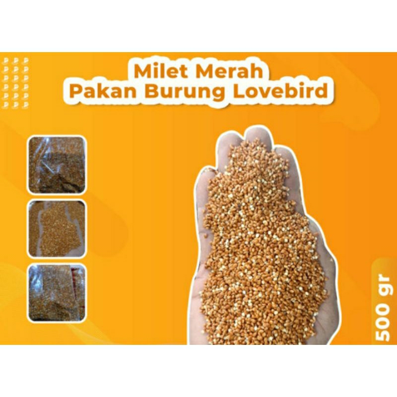 MILET Merah bersih biji MILET pakan burung kenari Labet Kutut