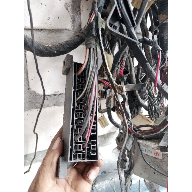 box sikring dalam timor do