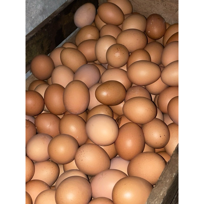 

1 Peti Telur Fresh Premium