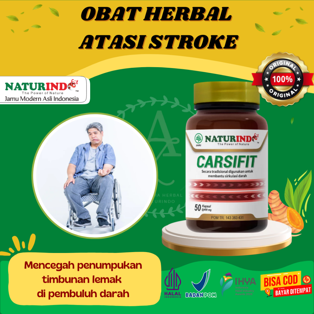 Obat Stroke Obat Struk Stroke Herbal Alami Obat Struk Lumpuh Menahun Dan Ringan CARSIFIT Naturindo