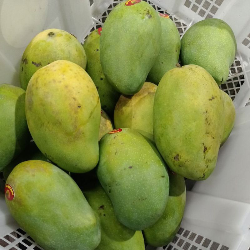 

Mangga Harum Manis 900gr-1kg