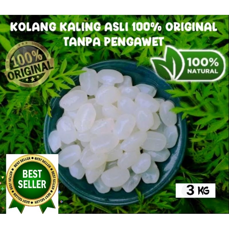 

BIG PROMO 3kg Biji Kolang Kaling Super Kenyal Muda Fresh 100% Organik Asli Tanpa Bahan Pengawet