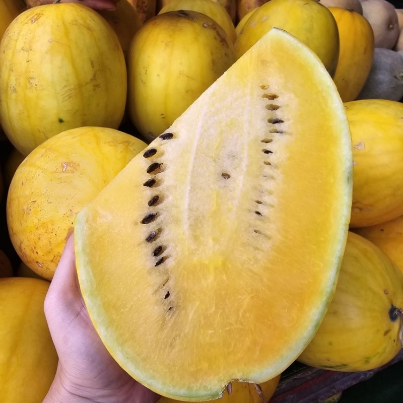 

Semangka Golden 2-3kg
