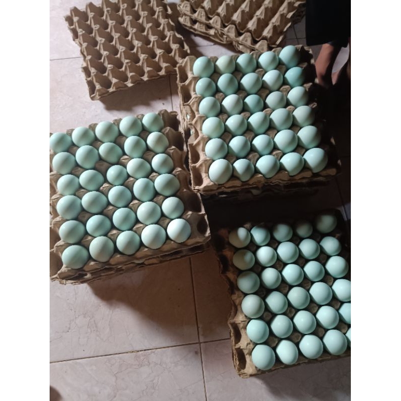 

TELUR ASIN MENTAH MASIH UTUH/TELUR ASIN FRESH ISI 10 BUTIR