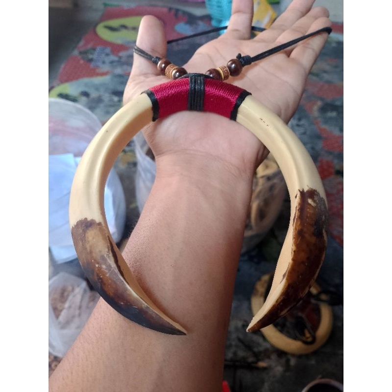 kalung etnik taring babi sepasang jumbo