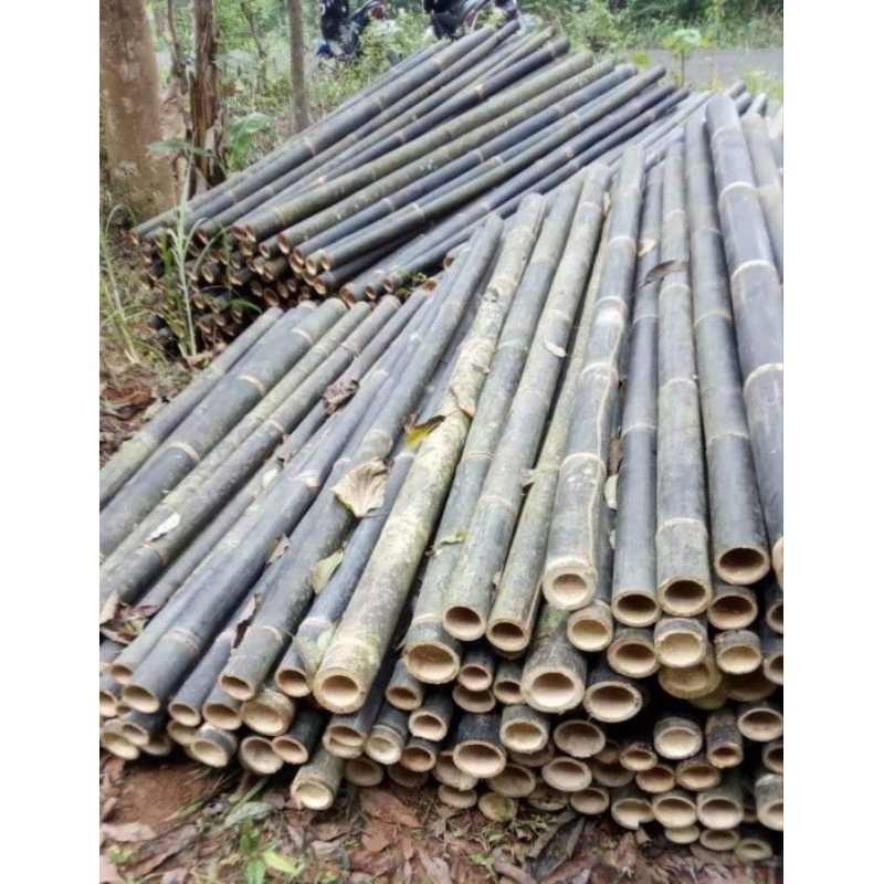 Potongan bambu hitam panjang 60 cm