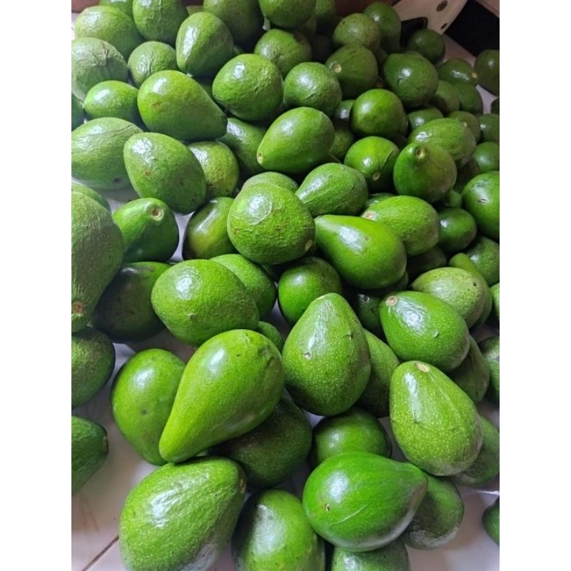 

Alpukat SUPER 1KG