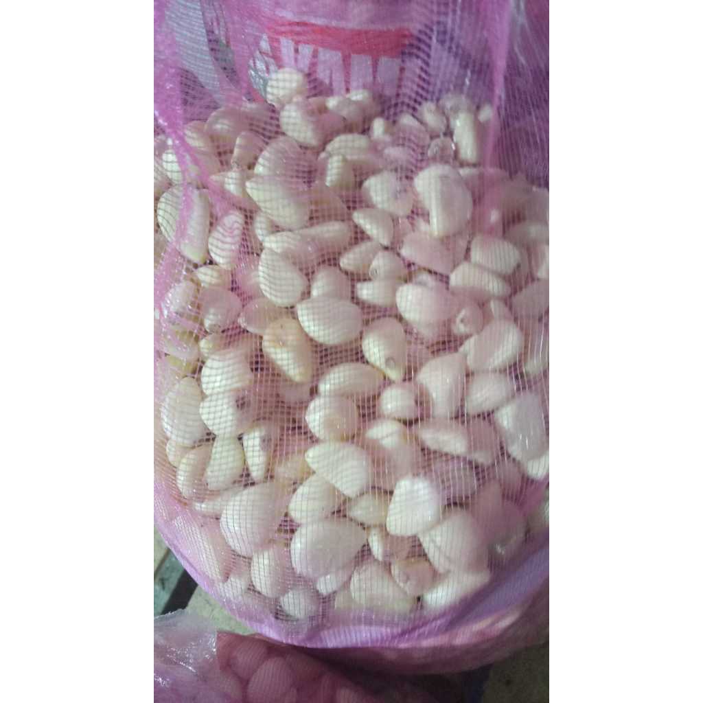 

Bawang Kating Kupas 1 KG