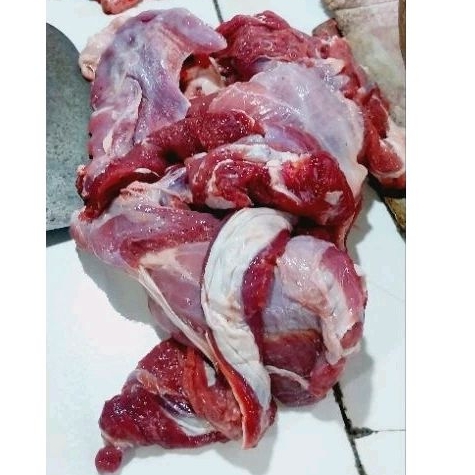 

Daging Lulur Kambing
