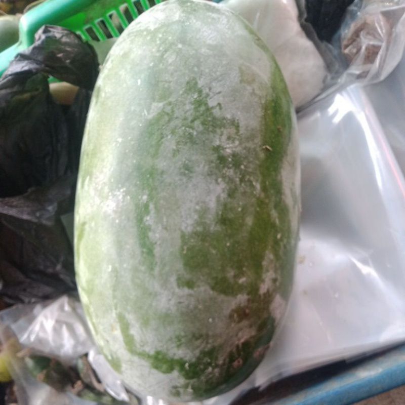 

water melon/labu kundur