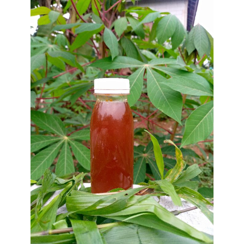 

madu Odeng maduhutanliar
