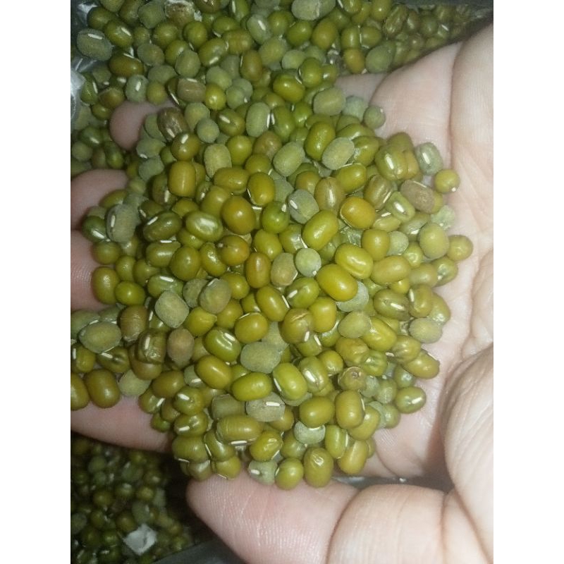 

Kacang Hijau 250 Gram