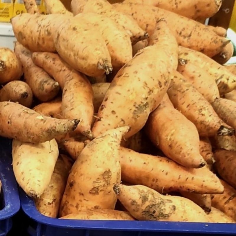 

ubi taiwan fresh 1 kg