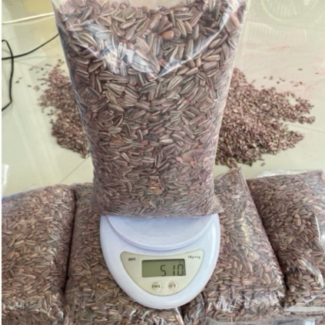 

Biji kwaci Matahari 500gram/insektisida/Anti totor serangga