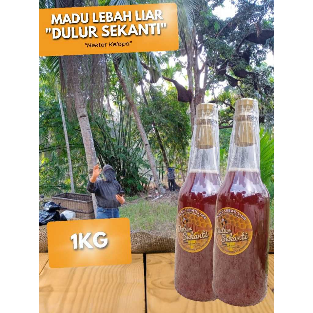 

1000 gram / 1 Kg Madu Lebah Liar Nektar Kelapa – Sensasi Menikmati Madu dengan Rasa Dogan/Kelapa Muda