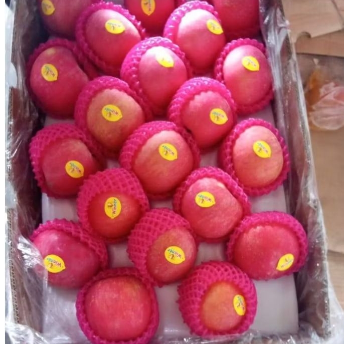 

BUAH APEL FUJI RRC TERMURAH 4 PCS